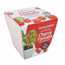 Ceramic Pot: Cherry Tomato