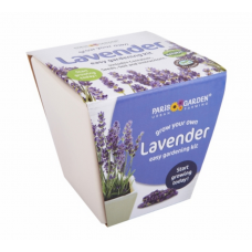 Ceramic Pot: Lavender