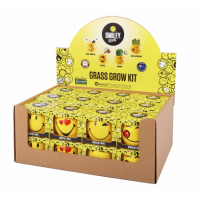 Grow Your Own Kits: Smileys (Set of 4)