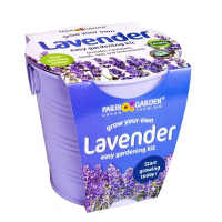 Galvanized Round Pots Coloured: Lavender