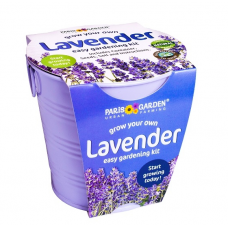 Galvanized Round Pots Coloured: Lavender