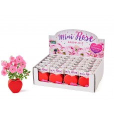 Grow Your Own Kits: Mini Rose Heart