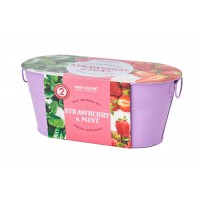 Mini Windowsill Oval Duo Colour: Spring Sweetness - Strawberry & Mint