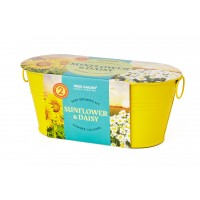 Mini Windowsill Oval Duo Colour: Summer Colours - Sunflower & Daisy