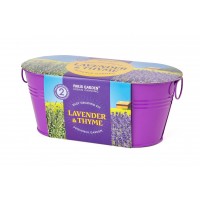 Mini Windowsill Oval Duo Colour: Mini Provence - Lavender & Thyme