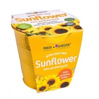 Galvanized Round Pots Coloured: Sunflower