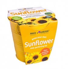 Galvanized Round Pots Coloured: Sunflower