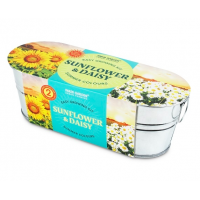 Windowsill Oval Duo: Summer Colours - Sunflower & Daisy