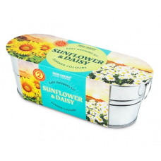 Windowsill Oval Duo: Summer Colours - Sunflower & Daisy
