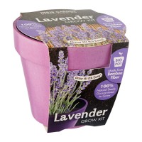 Bio Pots: Lavender