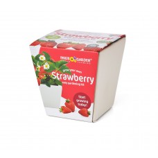 Ceramic Pots: Strawberry