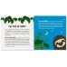 Hug A Sloth Kit
